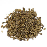 Milk Thistle Seed 1 Oz. (Silybum marianum)